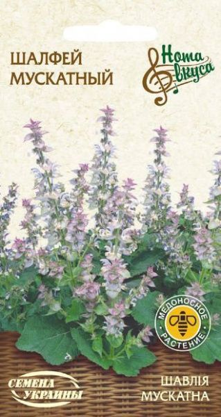 Насіння Семена Украины шавлія Мускатна 0,2 г