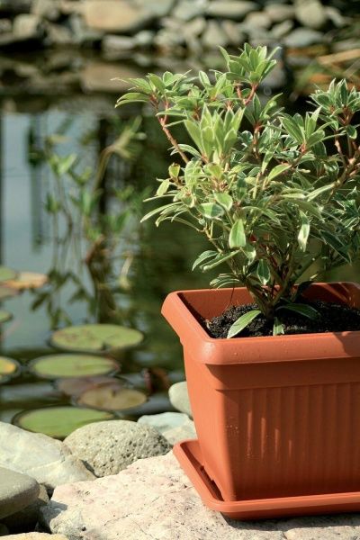 Горшок пластиковый Тера 2 190 мм квадратный 3,5л терракот (11082) 