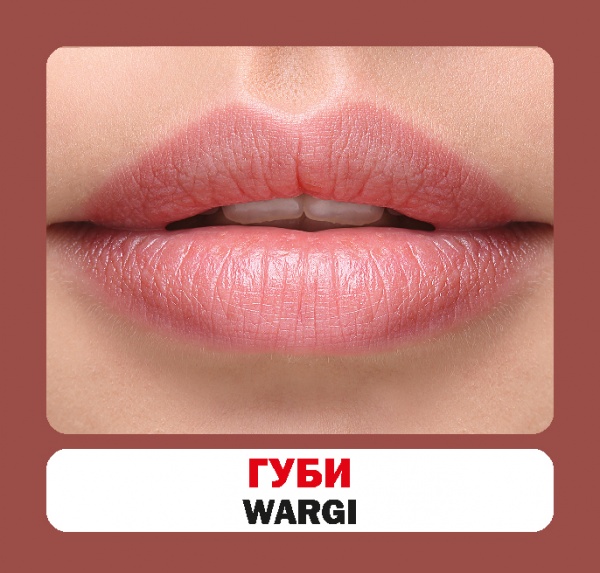 Книга «Частини тіла. Набір карток» 9786177686117