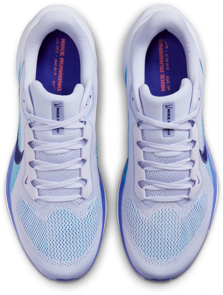 Кроссовки мужские Nike PEGASUS 41 FD2722-014 р.41 голубые