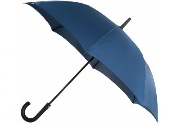Зонт Economix Business Promo E98405-02 синий 