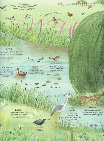 Книга Минна Лейси «Велика ілюстрована книга про природу» 978-617-7579-24-2