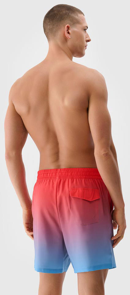 Шорти 4F 4FWSS25UBDSM132-63S р. L різнокольоровий