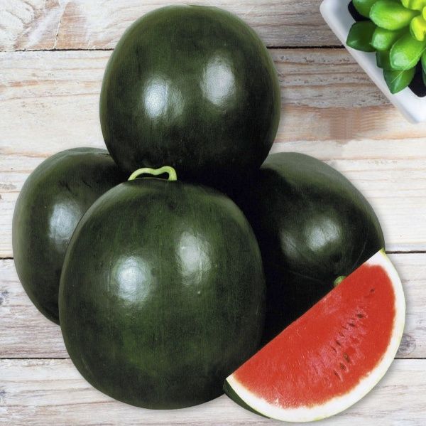 Семена Професійне насіння арбуз Ромерия F1 8 шт. (4820176693891)