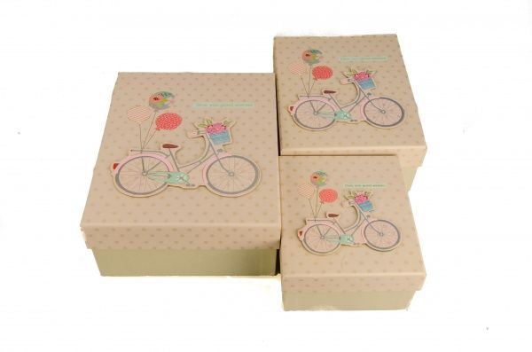 Коробка подарочная 25,5х20,5х10,5 107-37-3