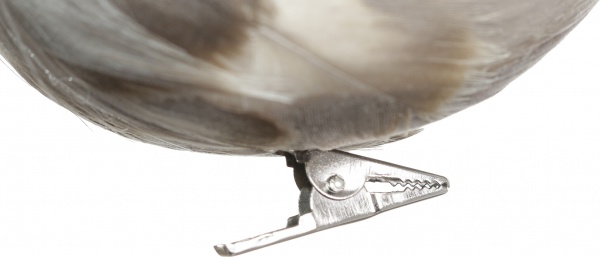 Фигурка декоративная на клипсе Птички 16х6,5х7 см HC4503230