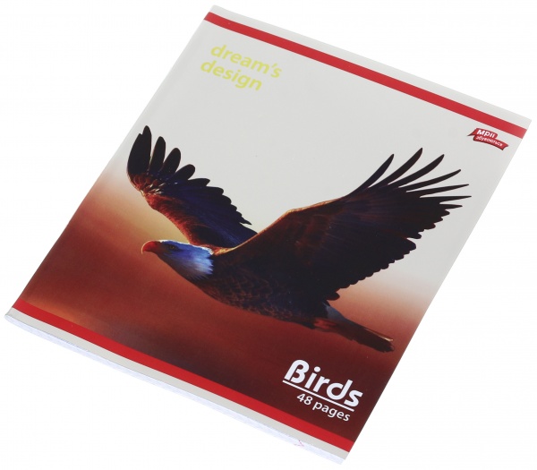 Тетрадь школьная серебро 4 листов в клеточку в ассортименте Мечты сбываются