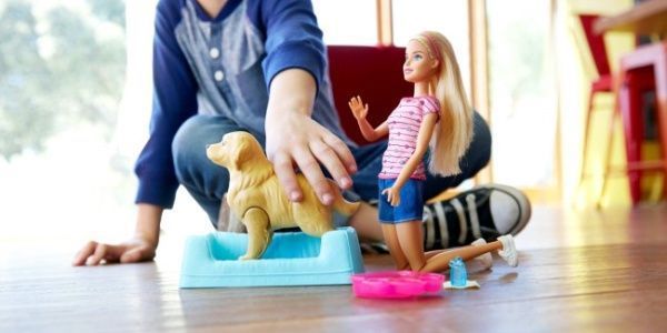 Игровой набор Barbie Кукла с щенками FBN17
