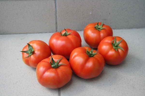 Семена Професійне насіння томат низкорослый Уракан F1 20 шт. (4823058208626)