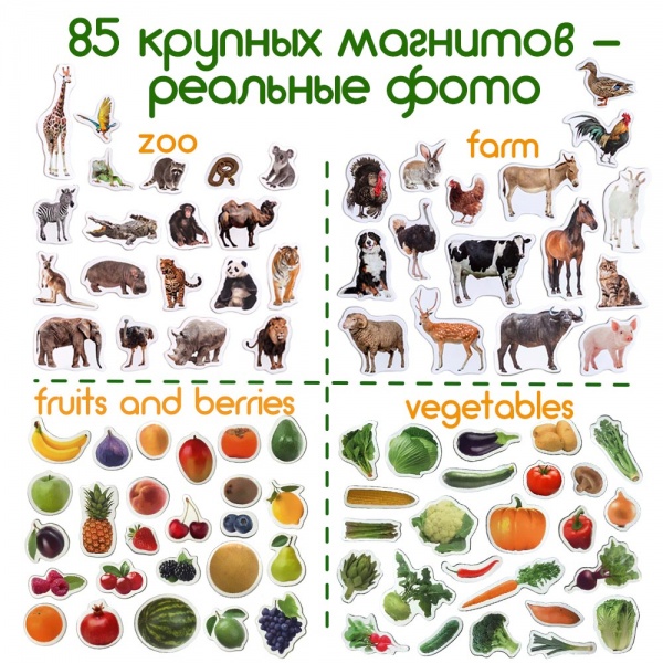 Набір магнітів Magdum Дитячий світ ML 4031-61 EN