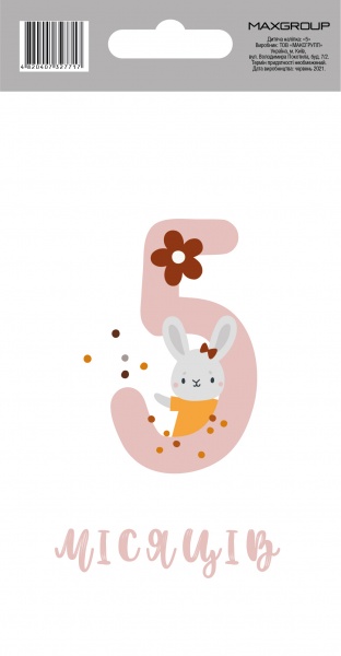 Наклейка MAXGROUP 5 месяцев NM-063