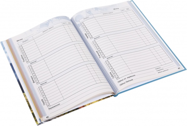 Щоденник 741 7БЦ матова ламінація 165х240 мм 40 аркушів Mandarin