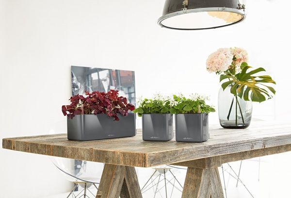 Вазон декоративный Lechuza Cube Glossy 16 квадратный 1,6л антрацит (13521) 