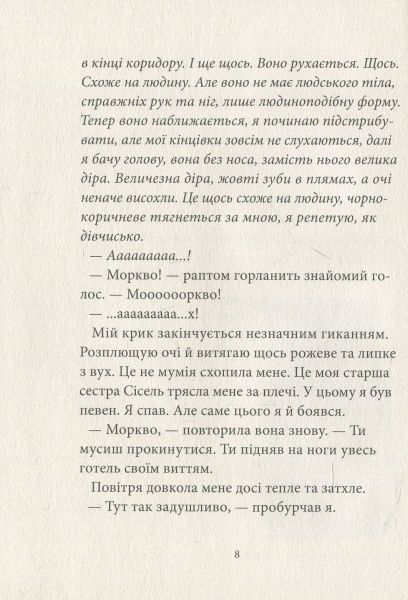 Книга Бйорн Сортланн «Таємниця Луксора» 978-617-7537-25-9