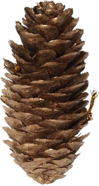 Набор шишок 6 см 18 шт./уп.  