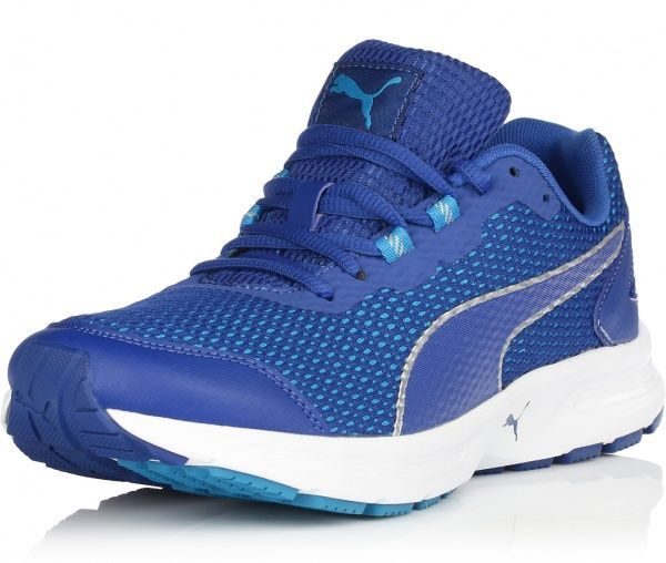 Кроссовки Puma DESCENDANT V4 18905610 р.10 синий