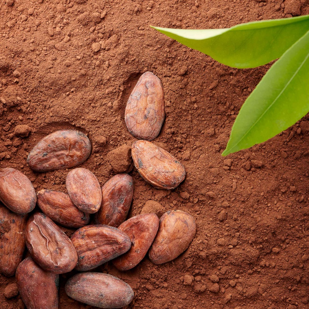 Краска для волос Palette Naturals Naturals 1-0 черный 110 мл