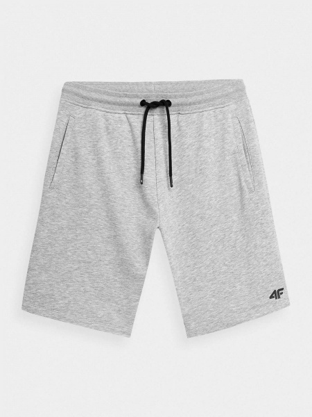 Шорти 4F 4FMM00TSHOM025-27M р. L сірий