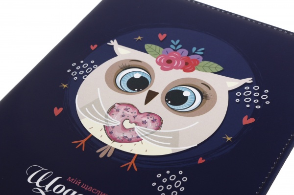 Дневник SD1613 167х211 мм 48 листов Bourgeois