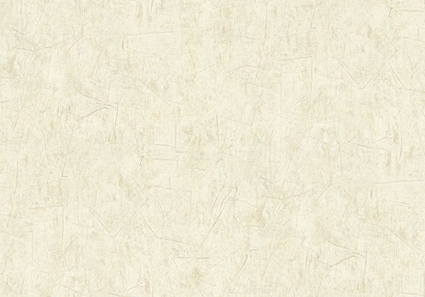 Шпалери вінілові гарячого тиснення Vinil Барбара ТФШ4-0940 1,06x10,05 м 