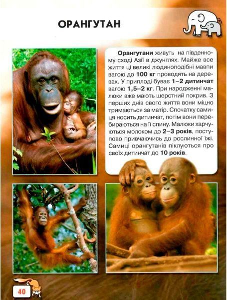 Книга «Світ навколо нас. Малята тварин» 978-966-9369-49-9