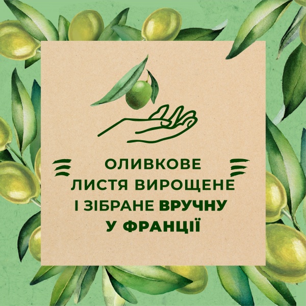 Гель для душа Le Petit Marseillais BIO Листья оливы 250 мл