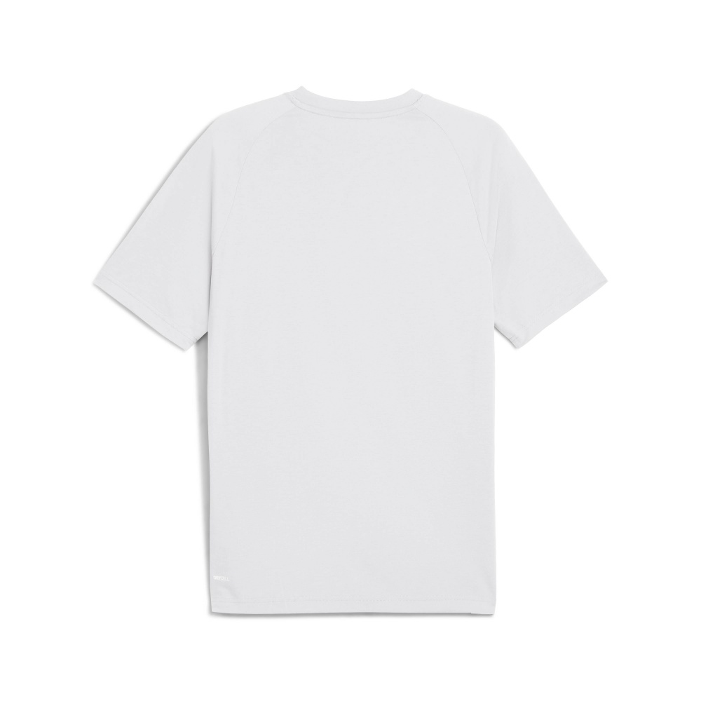 Футболка Puma EVOSTRIPE Tee 68822902 р.L білий