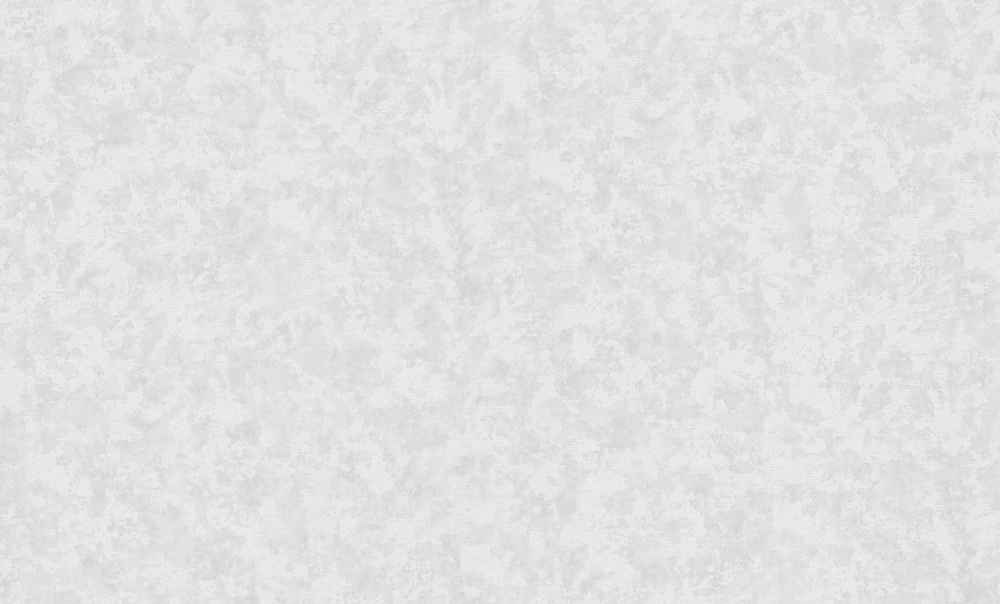 Шпалери вінілові на флізеліновій основі Bravo SIMPLE 515SP19 1,06x10,05 м