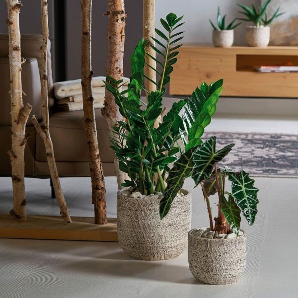 Кашпо керамічне Soendgen Portland круглий корковий (4006063311059) 