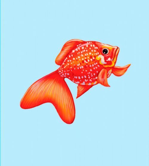 Книга «Словарик в картинках. Домашние животные» 9789667491246