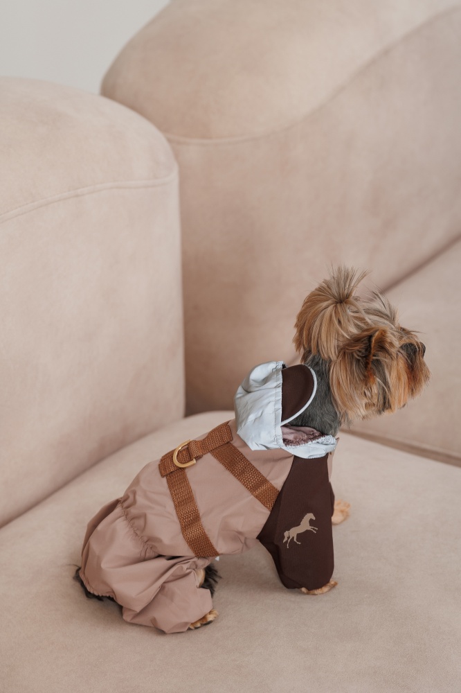 Дождевик Pet Fashion Mustang XS шоколадный