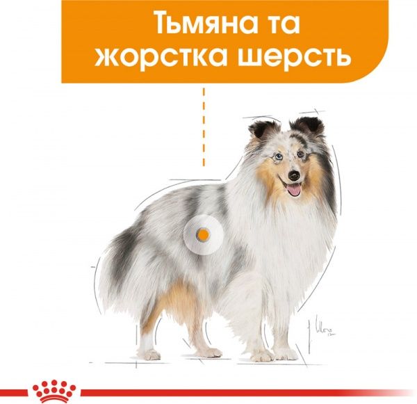 Корм Royal Canin для собак MINI COAT CARE (Міні Коат Кер), 3 кг