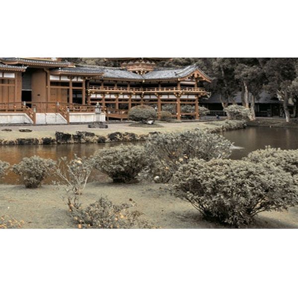 Декор Golden Tile Bamboo №4 Н71341 250x400 мм бежевий