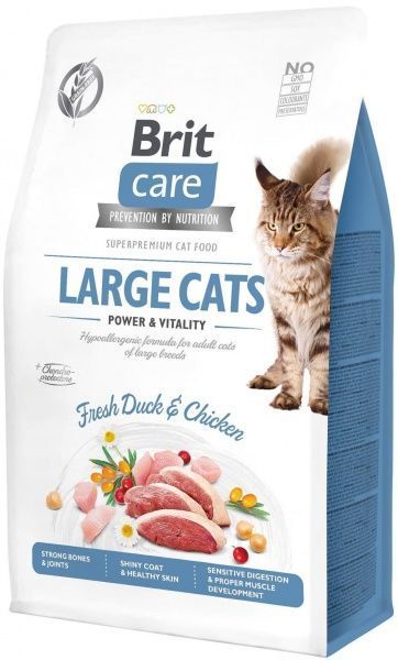 Корм Brit Care GF Large cats качка і курка 400 г 171311