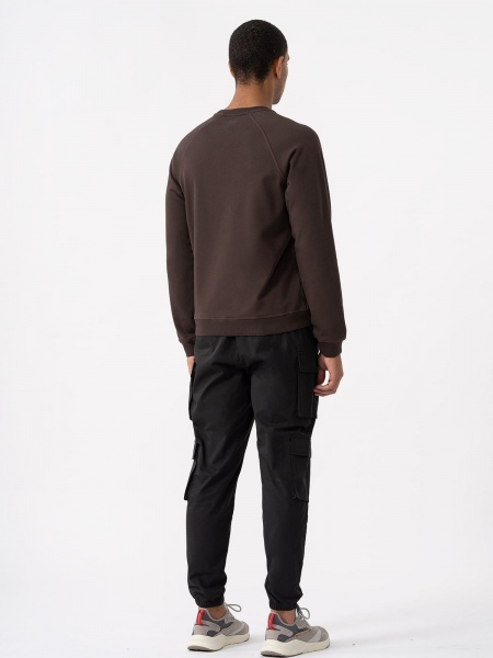 Свитшот 4F SWEATSHIRT M687 4FAW23TSWSM687-80S р.XL коричневый