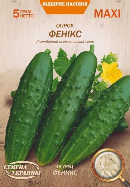 Насіння Семена Украины огірок Фенікс 5г