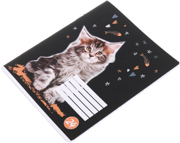 Тетрадь школьная cat 24 листа линия черный