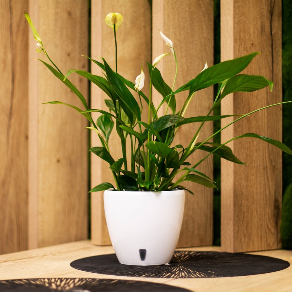 Вазон пластик Deco Twin круглий шаде 5,8 л Santino (2009241)