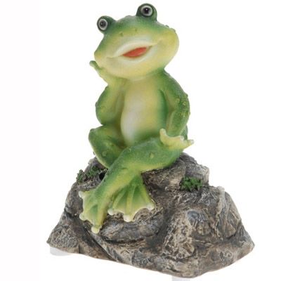 Жаба садова музична