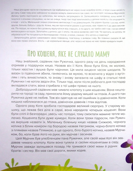 Книга Эльжбета Снежковская-Биляк «В саду пана Ружички. Терапевтические сказки» 978-966-944-216-1