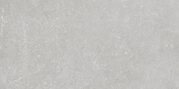 Плитка Stonehenge Terragres светло-серый 44G900 120х60 