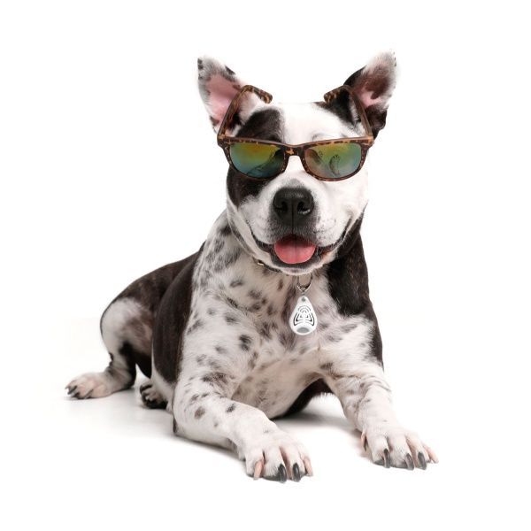 Ультразвуковой отпугиватель WAUDOG от клещей и блох