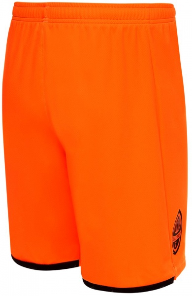 Шорти Puma FCSD Shorts Replica 76410401 р. L помаранчевий