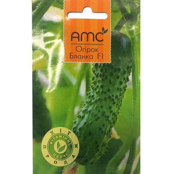 Семена Hollar Seeds Огурец Бланка Ф1