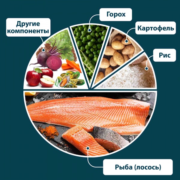 Корм сухой для всех пород German Shephy GOLD Lachs лосось 10 кг