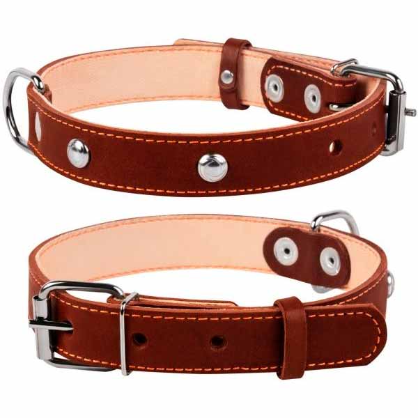 Ошейник Collar одинарный с украшением, 12 мм, 24-32 коричневый