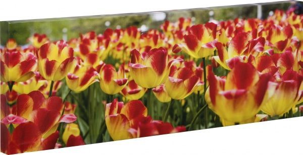 Репродукция Романтизм 828-3 28x80 см 