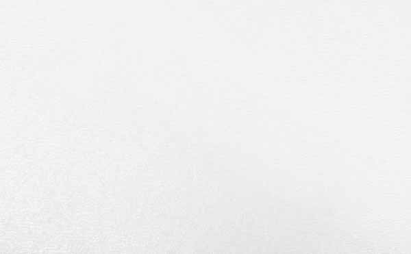 ДВП ламінована 2440х1220х2,5 мм білий (2,9768 м2)