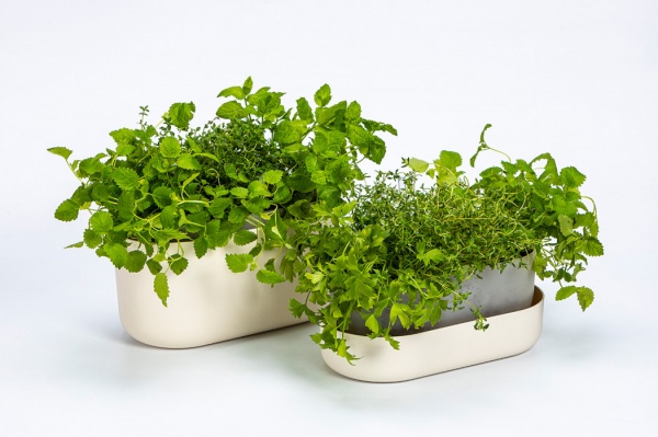 Вазон пластиковий Plastia з піддоном Tolita 30,5 см круглий 3,2 л бежевий (1909783040) 