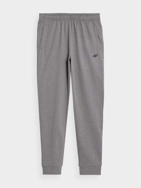 Штани 4F TROUSERS FNK M350 4FAW23TFTRM350-27M р. 2XL сірий